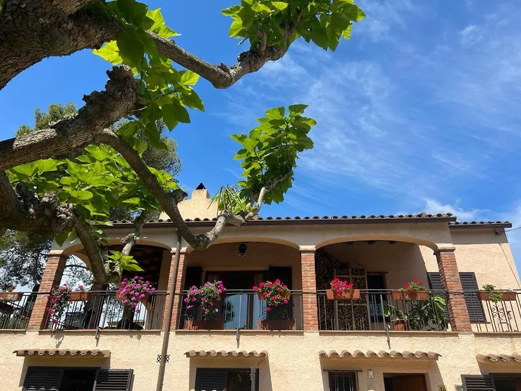 Holiday home Maresme 61 Privat Pool Villa L'Estartit Spain